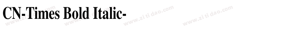 CN-Times Bold Italic字体转换